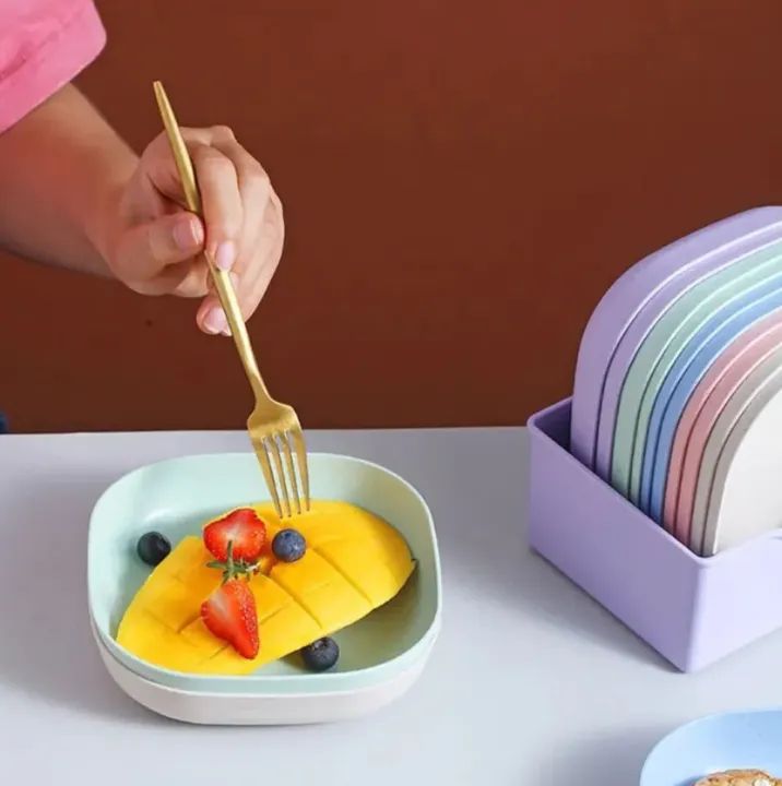 Plastic Dinner Plate Set /10 Pcs With Stand - Image 3